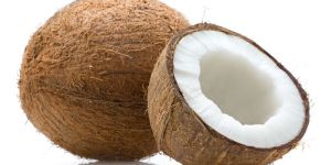 Fresh Coconut