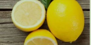 Fresh Lemon