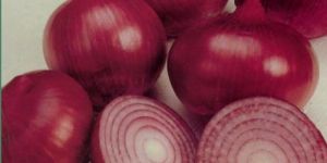 Fresh Red Onion