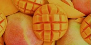 Mangoes