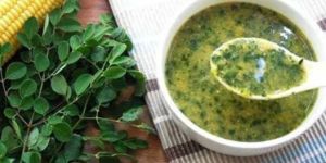 Moringa Soup