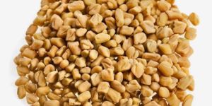 Fenugreek Seeds