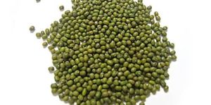 Whole Green Moong Dal