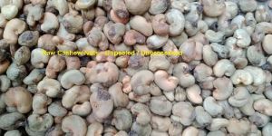 Raw Cashew Nuts