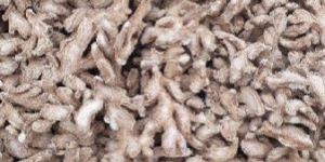 Dry Ginger