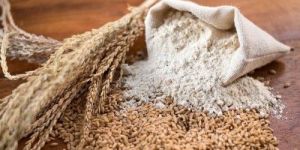 Pure Wheat Flour