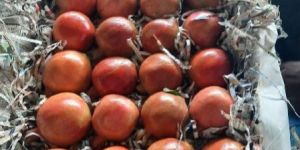 Fresh Pomegranate