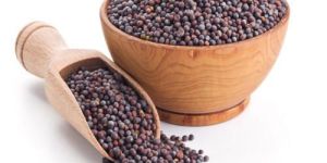 Brown Mustard Seeds