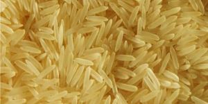 Golden Non Basmati Rice