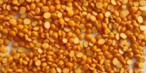 Yellow Gram Dal