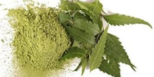 Neem Powder