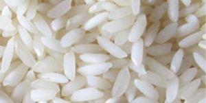 Non Basmati Rice