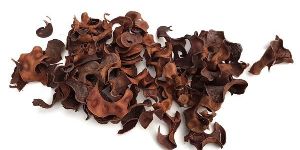 Curly Pods