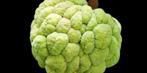 Custard Apple