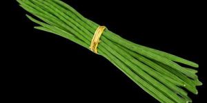 Drum Stick