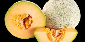 Muskmelon