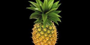 Fresh Pineapple