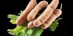Tamarind