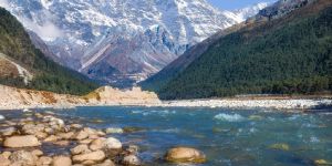 Yumthang Valley Tour Service