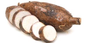Cassava Root
