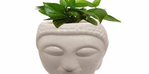 Ceramic Buddha Planter