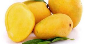 Fresh Amrapali Mango