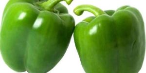 Fresh Green Capsicum