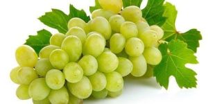 Fresh Green Grapes