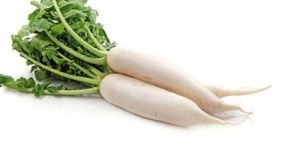 Fresh Radish