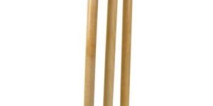 Cricket Stump