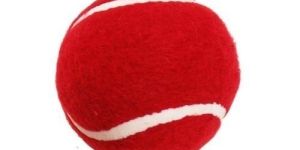 Cricket Tennis Ball