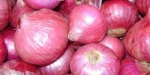 Fresh Pink Onion