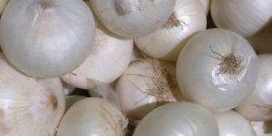 Fresh White Onion