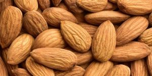 Almond Kernels