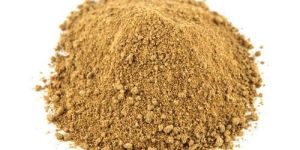 Dried Mango Powder