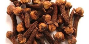 Cloves Seeds