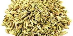 Fennel Seeds