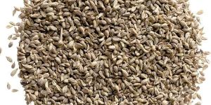 Star Anise Seeds