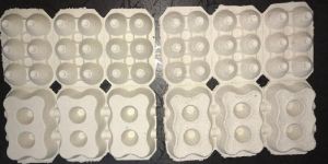 6 Cavity Egg Box