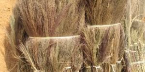 Grass Broom
