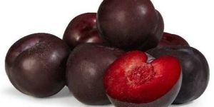 Fresh Plum