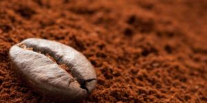 Coffee Powder