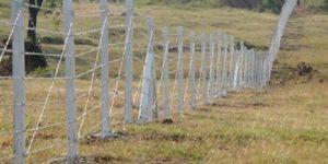Wire Fencing