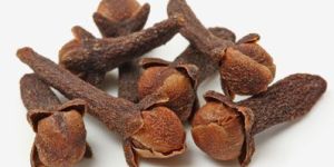 Clove Pods
