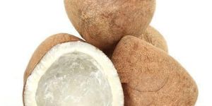 Coconut Copra