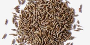 Cumin Seeds