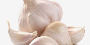 Fresh Garlic