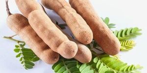 Fresh Tamarind