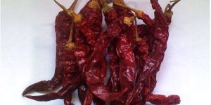 Wrinkle 273 Dry Red Chilli