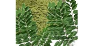 Dehydrated Curry Leaves Powder